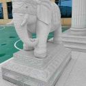 雅安 白麻花岗岩动物异形石雕-大象