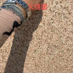 雅安黄金麻火烧面