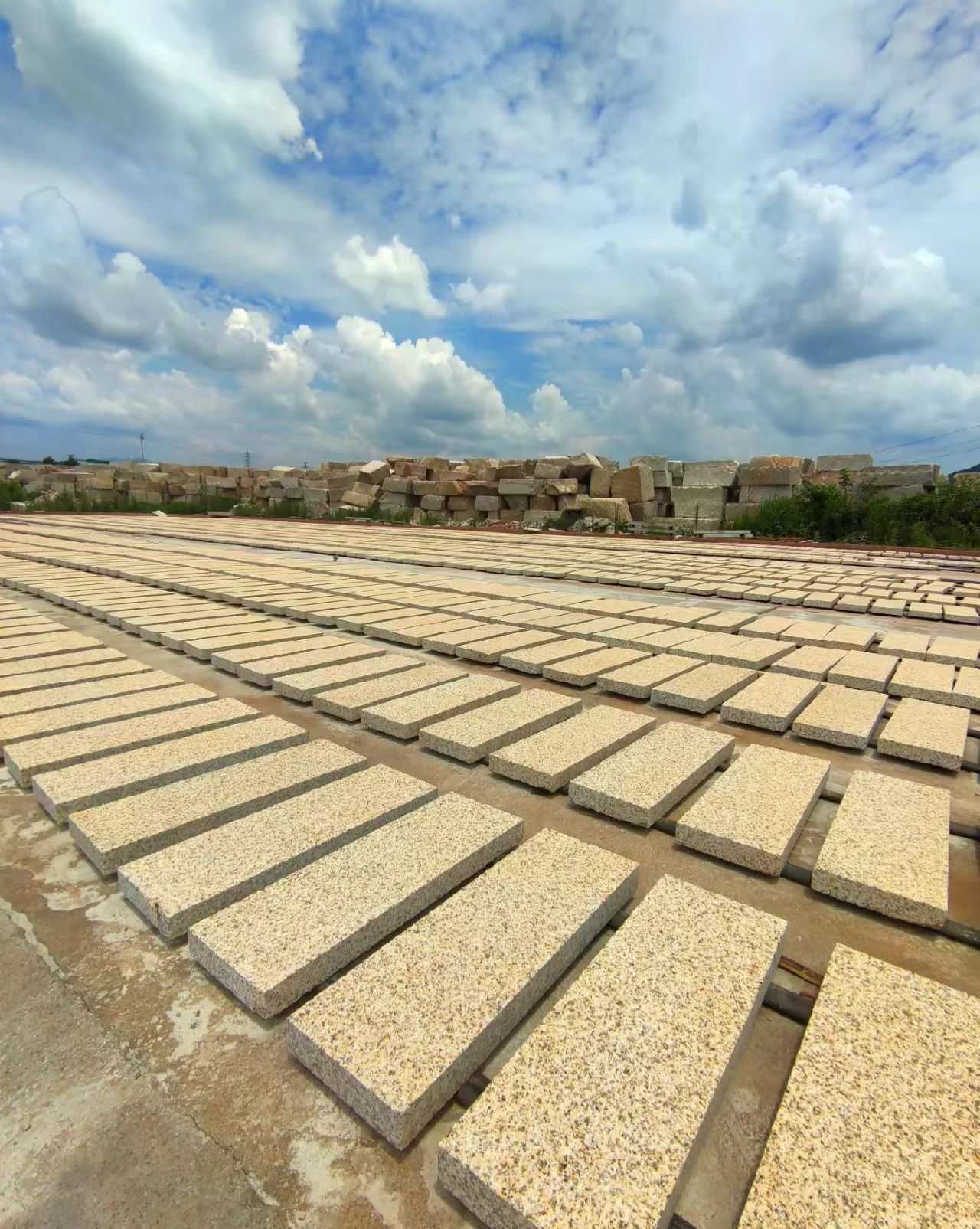 雅安 黄金麻花岗岩荔枝面地铺石防护中