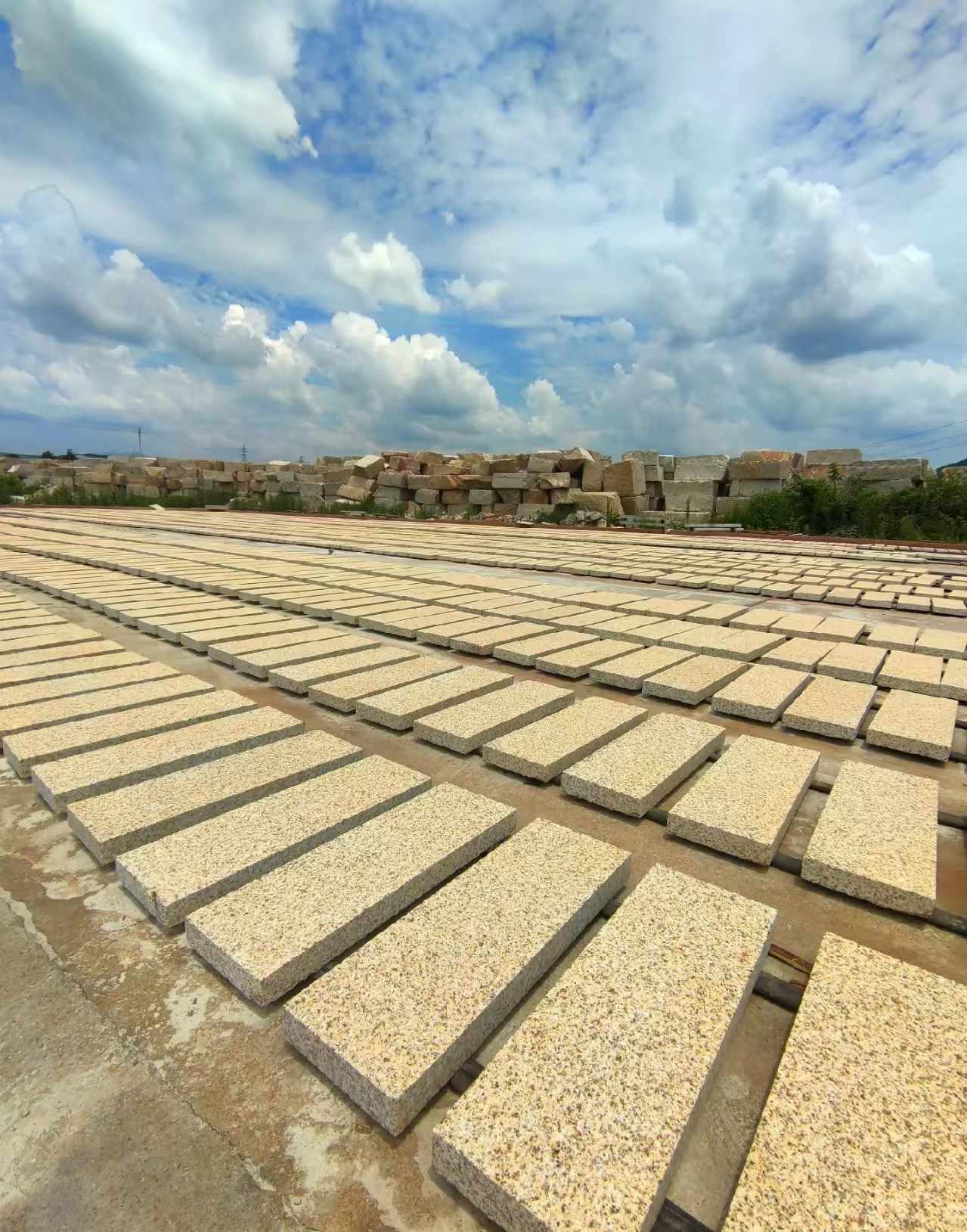 雅安 黄金麻荔枝面花岗岩石材地铺石防护中
